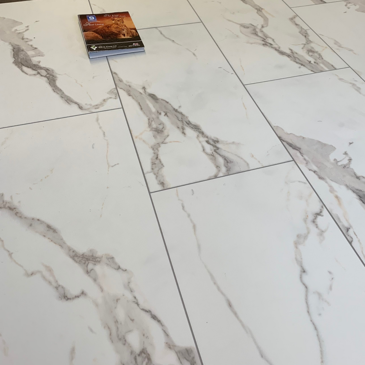 Modena Marble Plank LVT Rigid Core SPC Click Luxury Vinyl Tile Flooring
