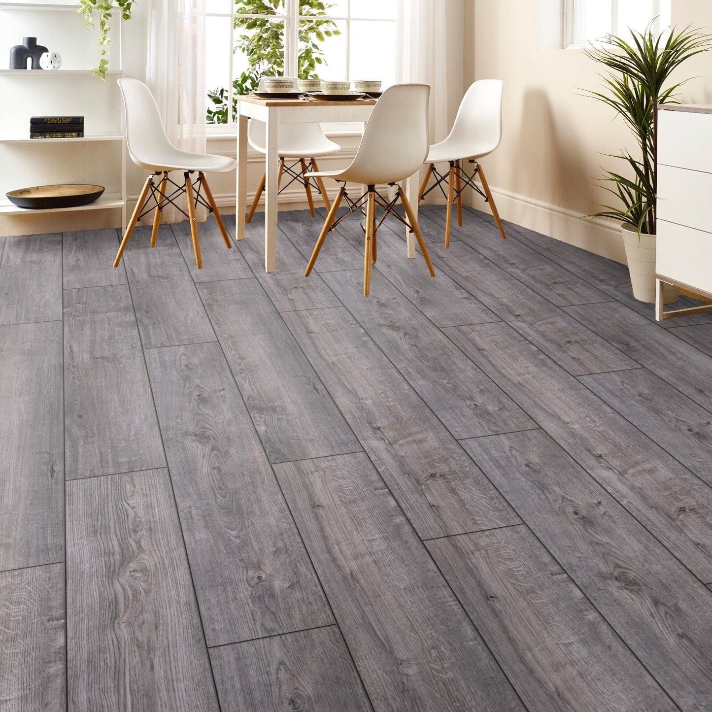 STEP Click Plus Campus 8mm Laminate Flooring