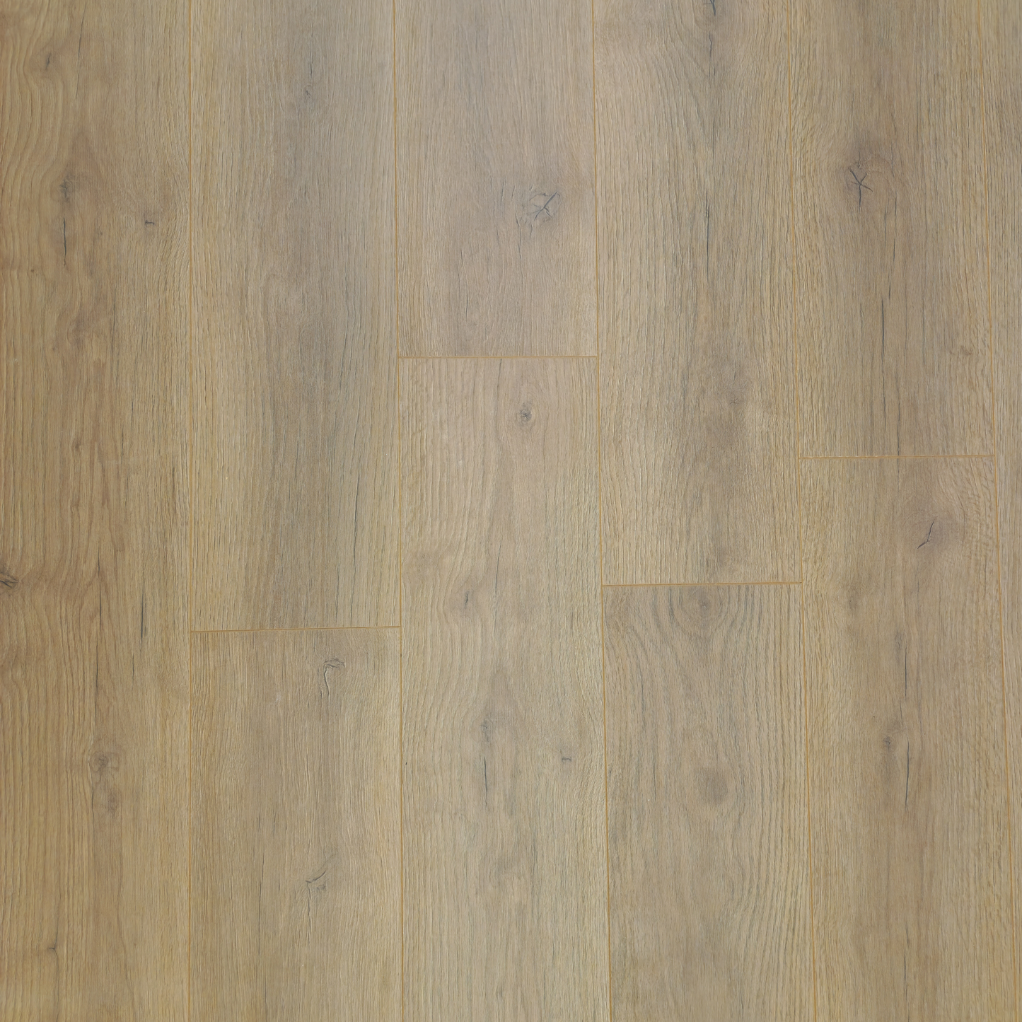 Waterproof Luxury Palewood Oak 8mm Laminate Flooring