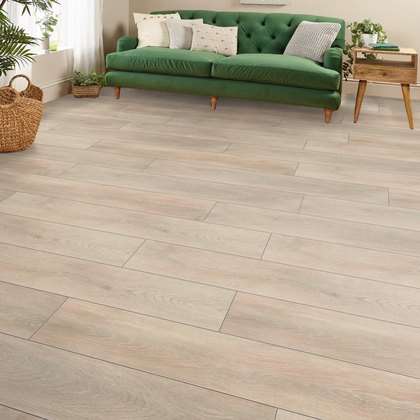 STEP Click Plus Talas 8mm Laminate Flooring