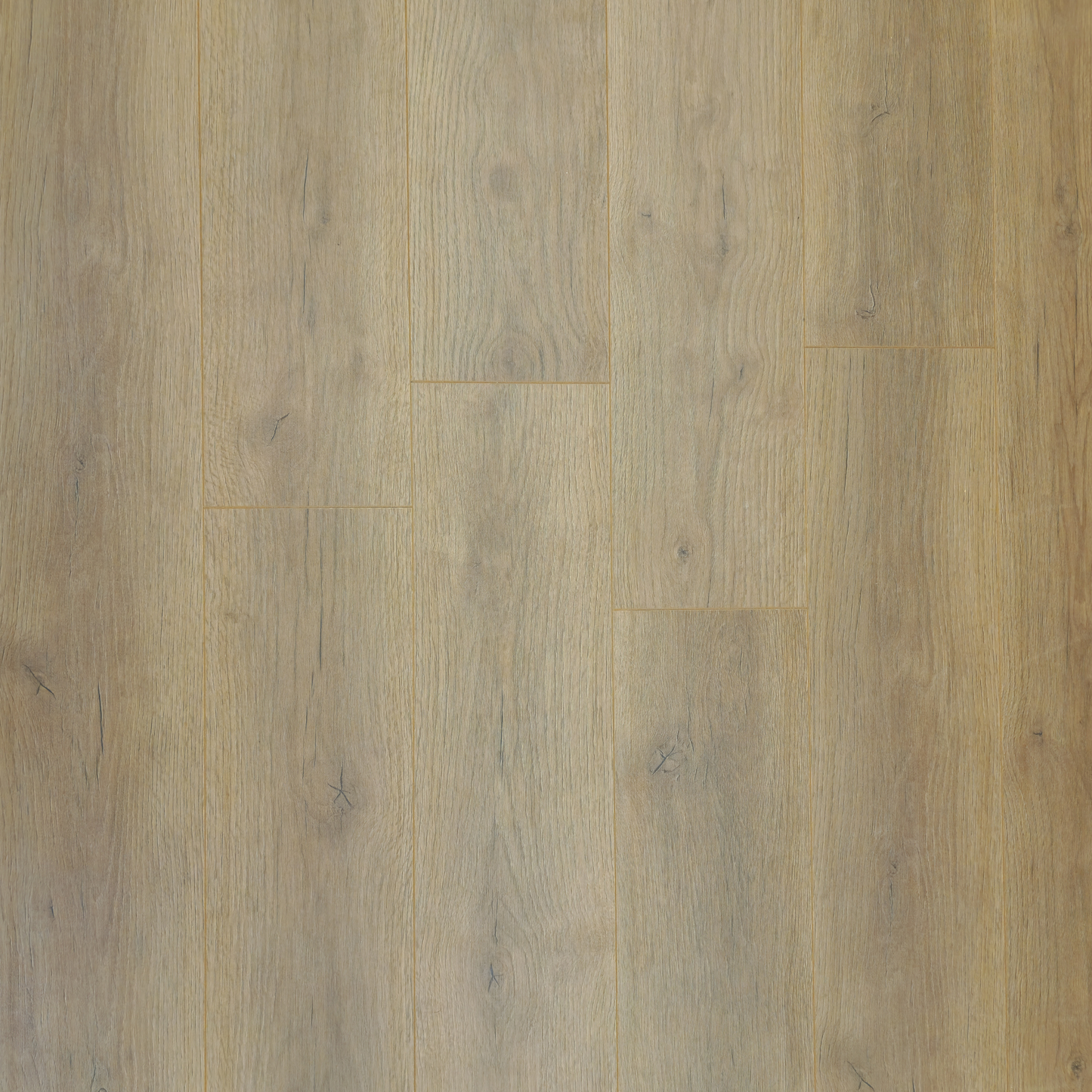 Waterproof Luxury Palewood Oak 8mm Laminate Flooring